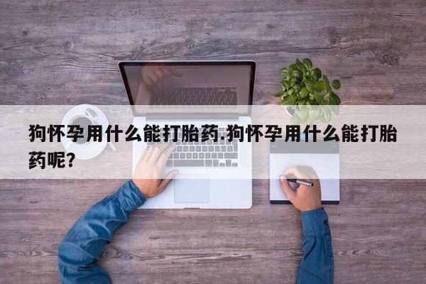 米非司酮片哪里有买狗怀孕用什么能打胎药.狗怀孕用什么能打胎药呢？