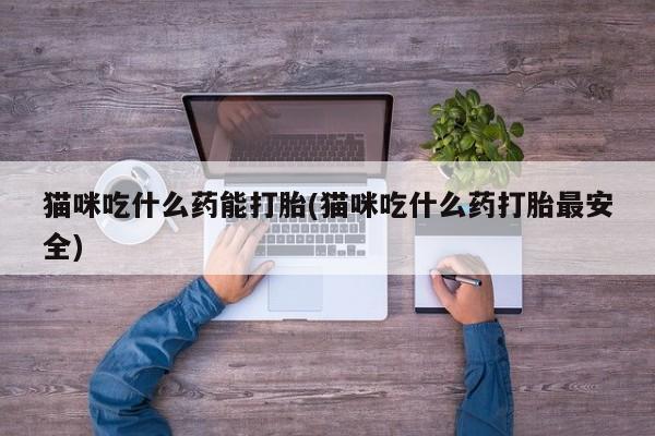 米非司酮片哪里有买猫咪吃什么药能打胎(猫咪吃什么药打胎最安全)