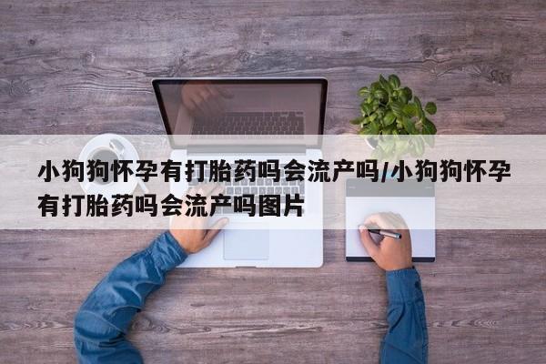 米非司酮片哪里有买小狗狗怀孕有打胎药吗会流产吗/小狗狗怀孕有打胎药吗会流产吗图片