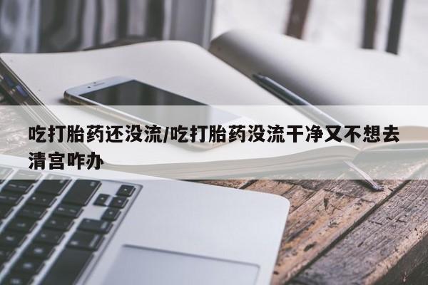 米非司酮片哪里有买吃打胎药还没流/吃打胎药没流干净又不想去清宫咋办