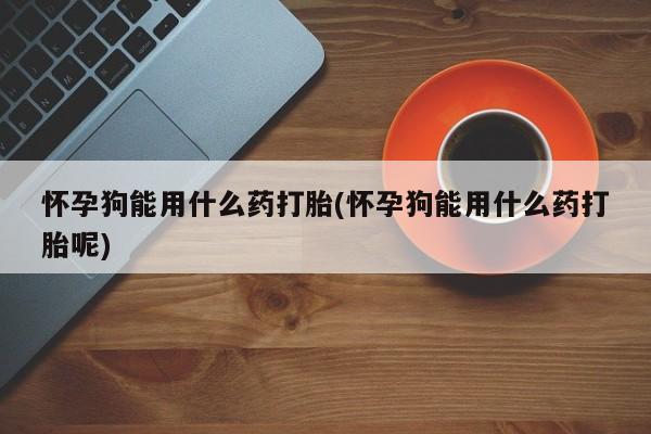 米非司酮片哪里有买怀孕狗能用什么药打胎(怀孕狗能用什么药打胎呢)